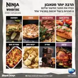 טאבון אובן חיצוני דגם - NINJA WOODFIREOO103