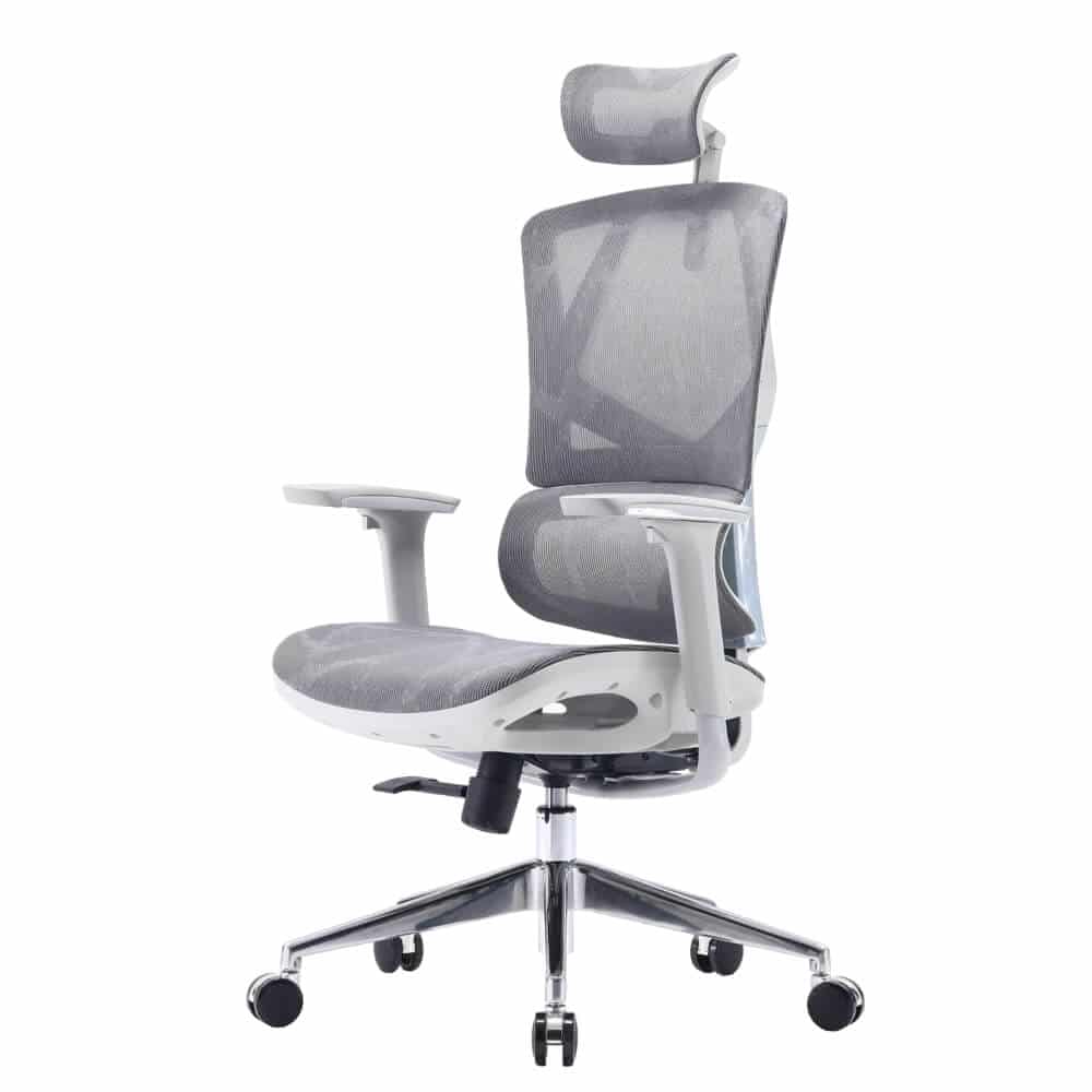 2 כסא מנהלים ארגונומי כולל משענת ראש SIHOO סיהו דגם M90