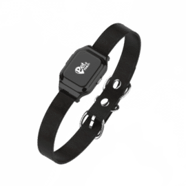 מארז קולר GPS לאיתור בעלי חיים Kidiwatch PetWatch 2.0 קידי ווטש