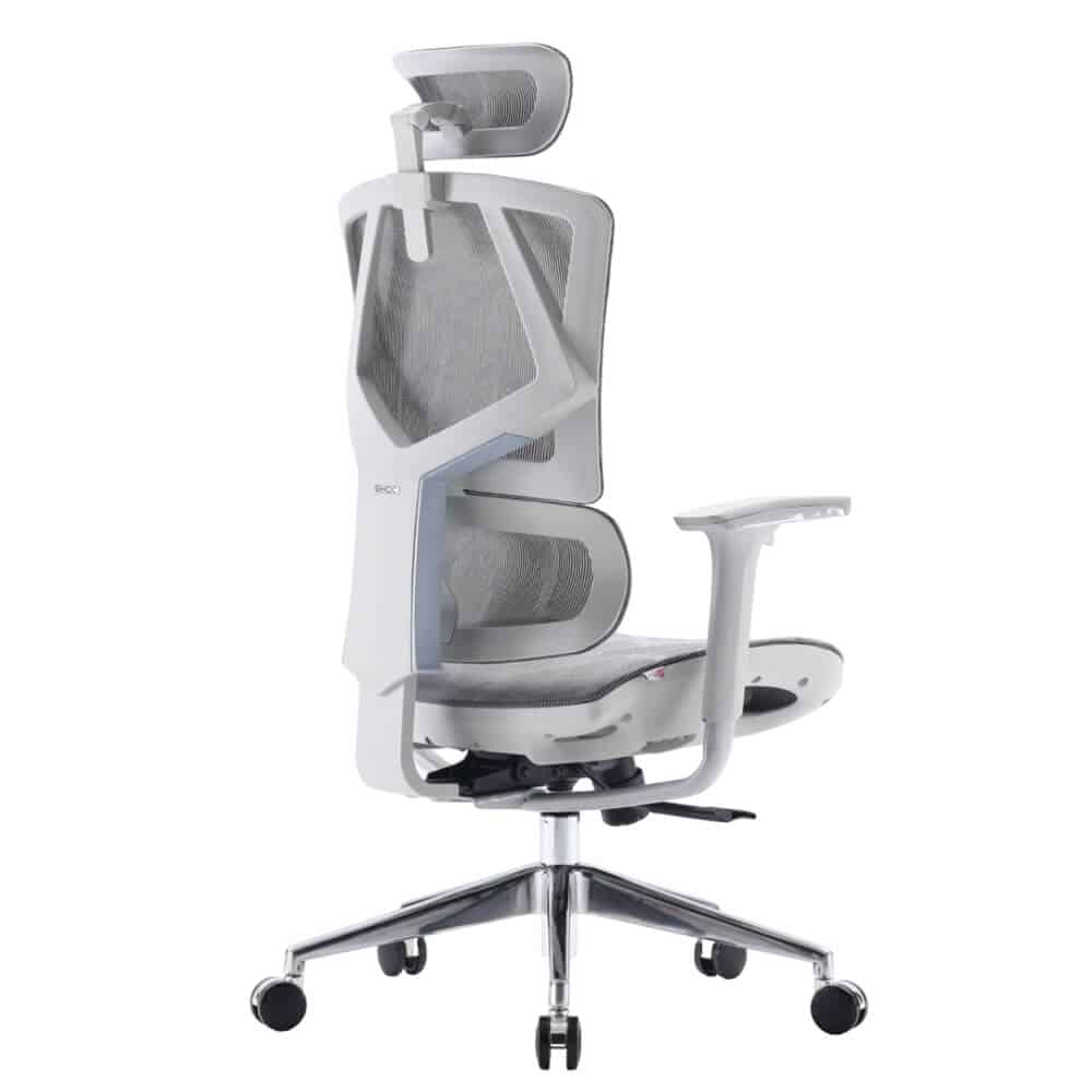 5 כסא מנהלים ארגונומי כולל משענת ראש SIHOO סיהו דגם M90