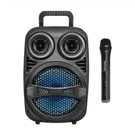 בידורית קריוקי ניידת 8″ TWS pure acustic ZX-80