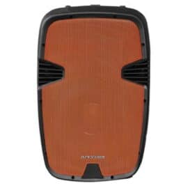 בידורית ניידת 300W כולל שני מקרופונים Pure Acoustics פיור אקוסטיקס PMW-3012