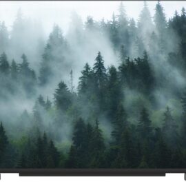 טלוויזיה "QLED 4K 55 מץ METZ דגם MQE8600Z