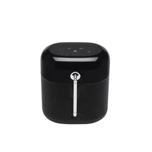 605fd58a-9f89-421d-b176-9b1e4accd46b_prvdsk רמקול נייד JBL Tuner XL – רדיו דיגיטלי וסאונד JBL בכל מקום